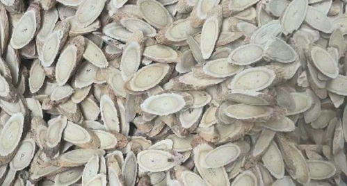 2024年8月15日首阳中药材市场 党参、黄芪、甘草饮片价格行情及中药饮片代煎服务观察